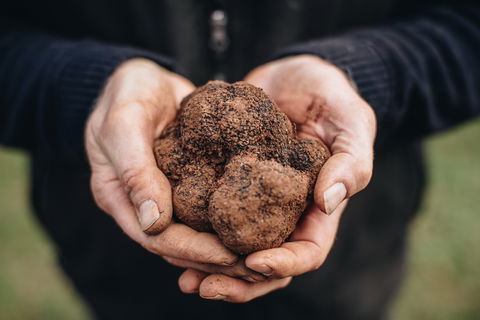 A Taste Of Truffles - Accommodation Bookings 0