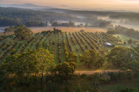 A Taste Of Truffles - Accommodation Bookings 1