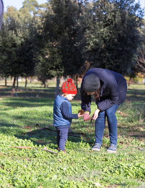 A Taste Of Truffles - Accommodation Bookings 2