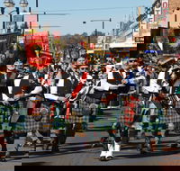 Australian Celtic Festival - Accommodation Bookings