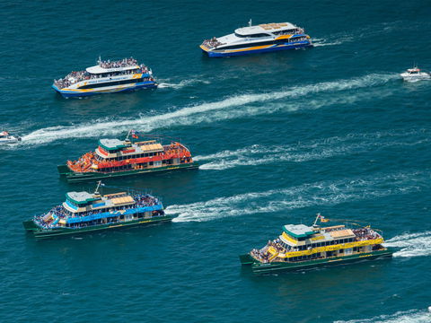Australia Day Sydney Harbour Cruises - Accommodation Bookings 1