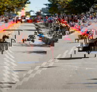 Australian Billy Cart Championships - Accommodation Bookings