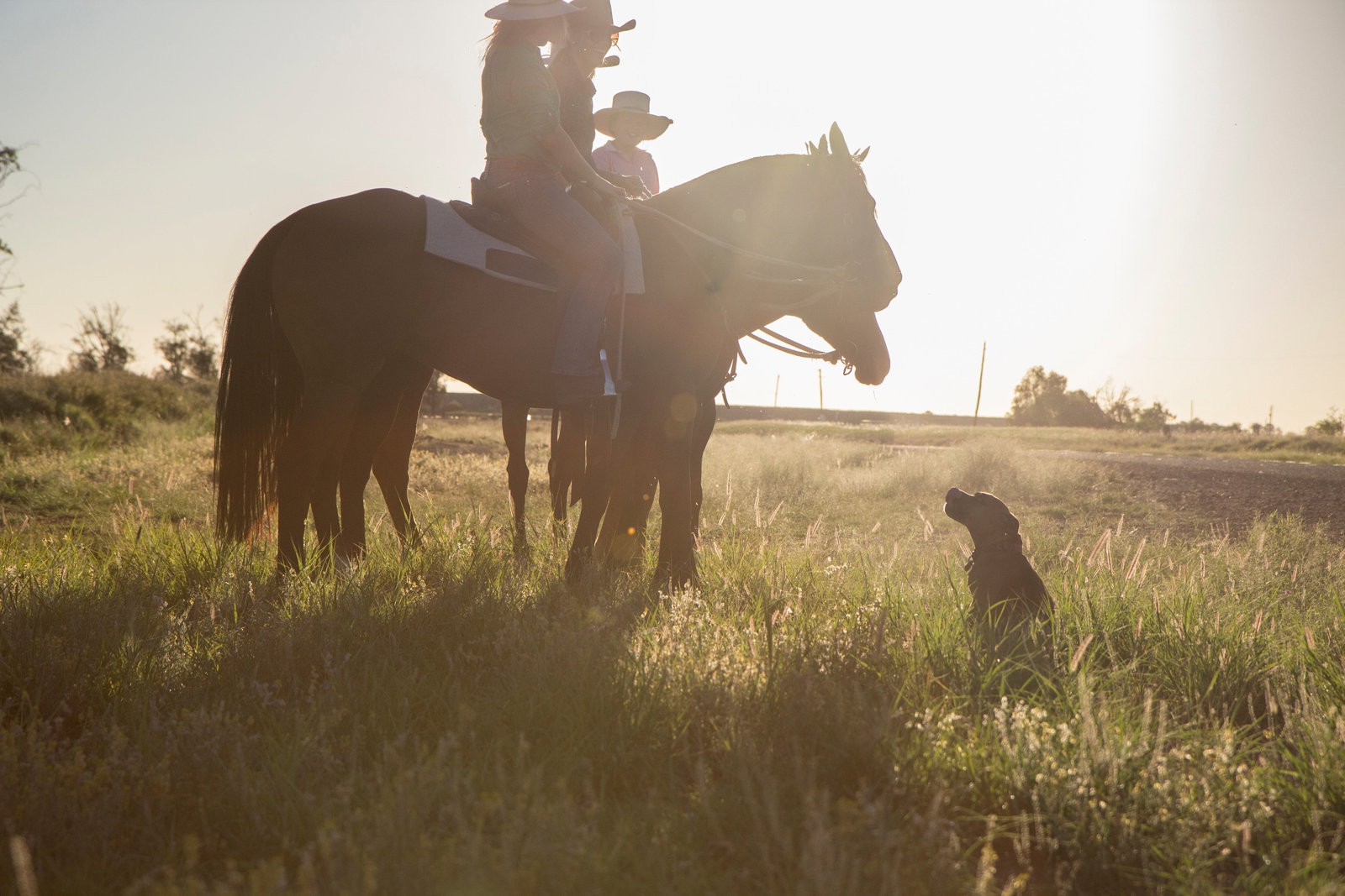 St George QLD Accommodation Bookings