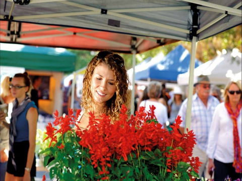 Ballina Missingham Farmers Market - Accommodation Bookings 0