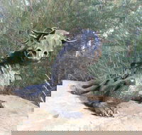 Bathurst Arts Trail - Accommodation Bookings