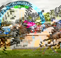 Bathurst Cup - Accommodation Bookings