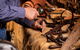 Bridle Making Workshop - thumb 1