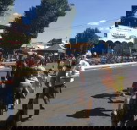 Bunny Bazaar - Accommodation Bookings