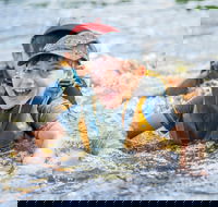 Cave Hill Creek Summer Camp - Accommodation Bookings