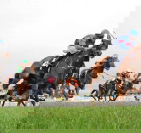 Christmas Cup Race Day - Accommodation Bookings