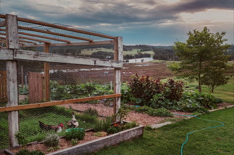 Cupitt's Growers Market - Accommodation Bookings 1