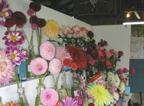Dalgety Show - Accommodation Bookings 0