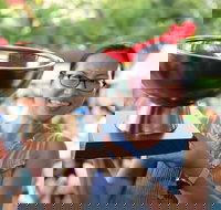 Darwin International Laksa Festival - Accommodation Bookings