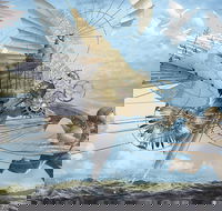 Dreams of Air and Flight - Accommodation Bookings