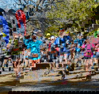 Duval Dam Buster Trail Run - Accommodation Bookings
