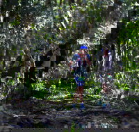 Elephant Trail Race - Accommodation Bookings