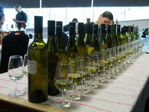Eltham And District Wine Guild Annual Wine Show - 51st Annual Show - Accommodation Bookings 1