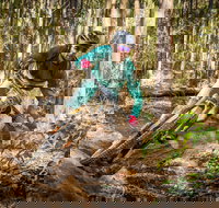 Fox Superflow sealed by Stan's Race  Ourimbah - Accommodation Bookings