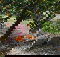 Fruit Bottling Sessions at Rayner's Orchard - Accommodation Bookings