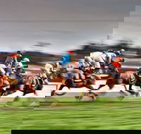 Grafton July Racing Carnival - Accommodation Bookings