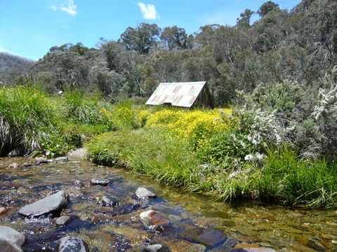 Hedonistic Hiking's Falls Creek To Hotham - Accommodation Bookings 0