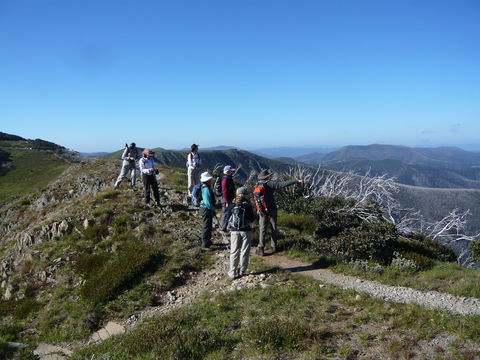 Hedonistic Hiking's Falls Creek To Hotham - Accommodation Bookings 1