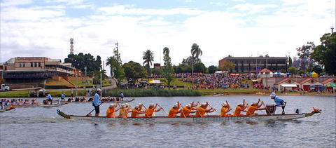 Jacaranda Dragon Boat Races - Accommodation Bookings 0