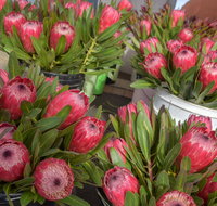 Junee Rotary Farmers Markets