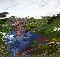 Kingsdale Wines - Cellar Door Wine Tastings - Accommodation Bookings