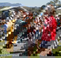 Lovedale Long Lunch - Accommodation Bookings