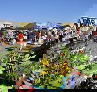 Maclean Community Monthly Markets - Accommodation Bookings