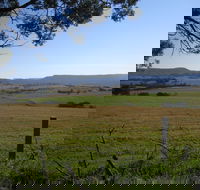 Milton Village Showground Markets - Accommodation Bookings