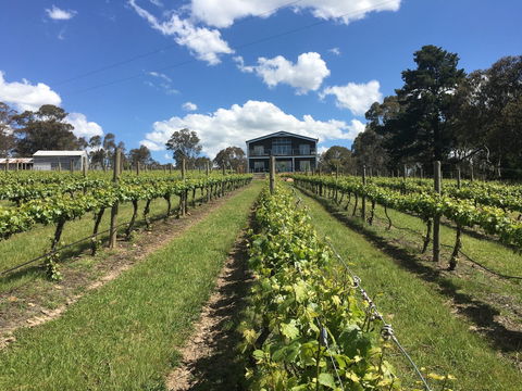 Mortimer's Diploma Of Taste - Accommodation Bookings 0