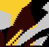 Naked Classics Fantastic Symphonies - Accommodation Bookings