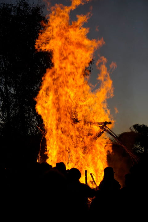 Newbridge Winter Solstice Festival - Accommodation Bookings 1