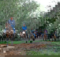 Night Horse Ride and Dinner - Accommodation Bookings