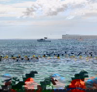 Nowra Toyota triHusky Huskisson Triathlon Festival Little Husky - Accommodation Bookings