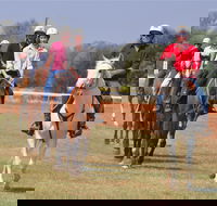 Pride of the West Races 2020 - Accommodation Bookings