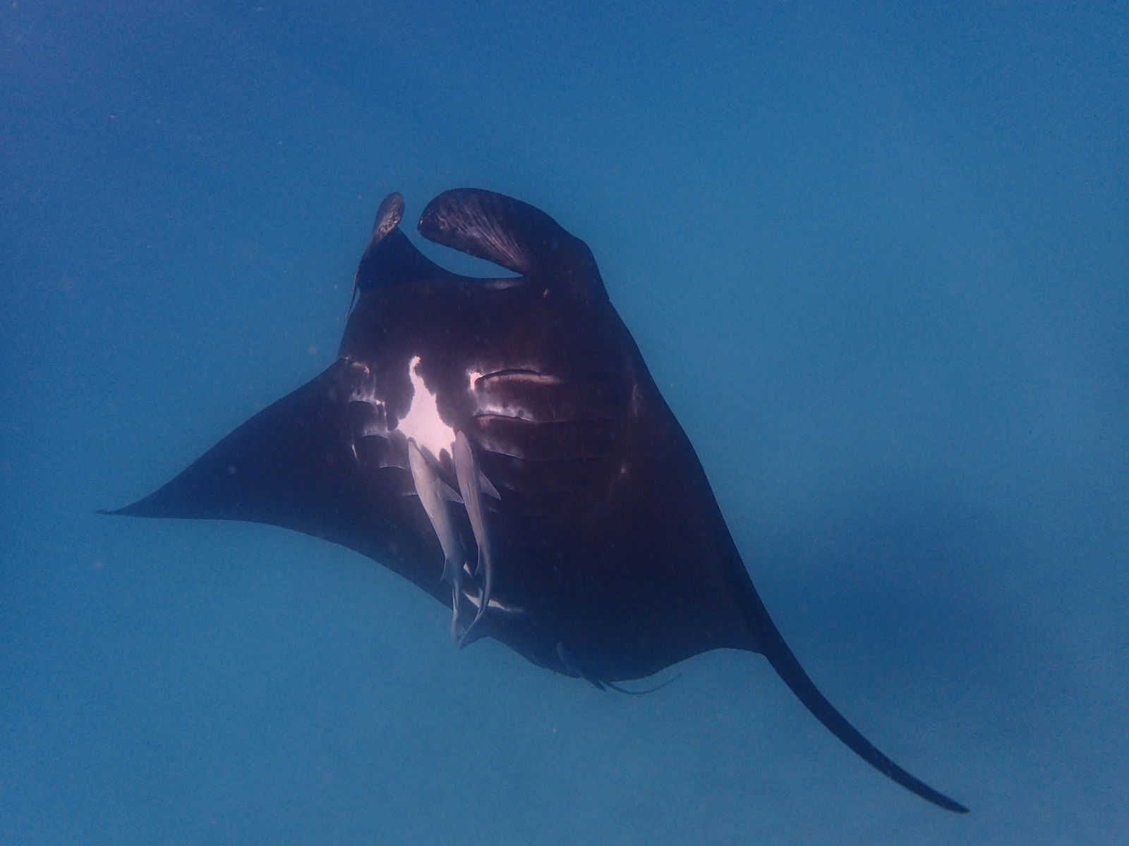 Brown Range WA Accommodation Bookings