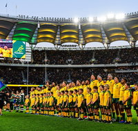 Rugby Championship Qantas Wallabies v Springboks - Accommodation Bookings