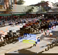 Scone Horse Festival - Accommodation Bookings