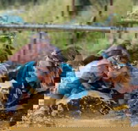 Suck It Up Buttercup Vikings Obstacle Course - Accommodation Bookings