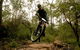 Sunshine Coast MTB Festival - thumb 1
