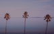 Sunset Streaming Live DJ Streams - thumb 0