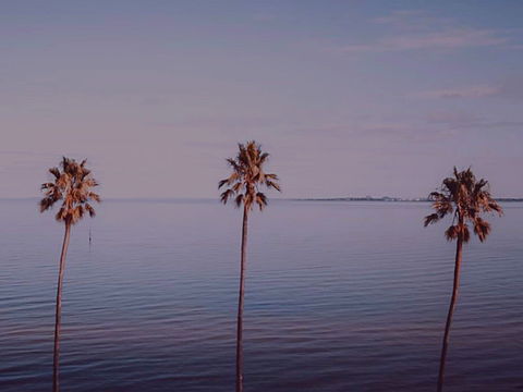Sunset Streaming Live DJ Streams - Accommodation Bookings 0