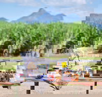 Taste Tweed - Accommodation Bookings