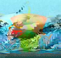 The Owl and The Pussycat - Accommodation Bookings