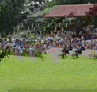 Tumut Derby Day - Accommodation Bookings