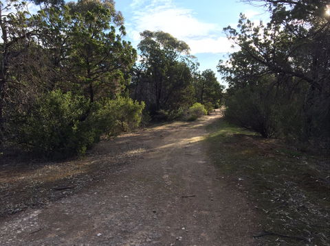 Victoria Park Moonta Monthly Walks - Accommodation Bookings 0