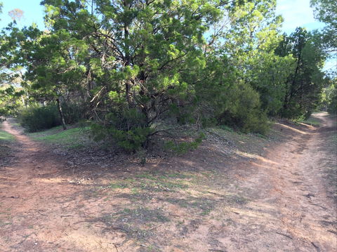 Victoria Park Moonta Monthly Walks - Accommodation Bookings 1